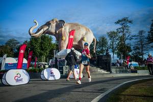 BIB: 
                            <button type="button" onclick="openModal(26541666)" class="btn btn-primary btn-sm float-right btn-popup" data-toggle="modal" data-target=".modal-high-quality">
                        <i class="fas fa-shopping-cart"></i> Add to Cart
                    </button>
                                            <button type="button" onclick="isThisMe(26541666, true)" class="btn btn-success btn-sm float-right btn-popup btn-isme hidden" data-toggle="tooltip" data-placement="bottom" title="นี่คือรูปของคุณใช่ไหม คลิกที่นี่เพื่อเอาเข้าอัลบั้ม">
                        <i class="fas fa-plus"></i> Add to album
                    </button>
                    <button type="button" onclick="isThisMe(26541666, false)" class="btn btn-warning btn-sm float-right btn-popup btn-isnotme hidden">
                        <i class="fas fa-ban"></i> Remove from album
                    </button>